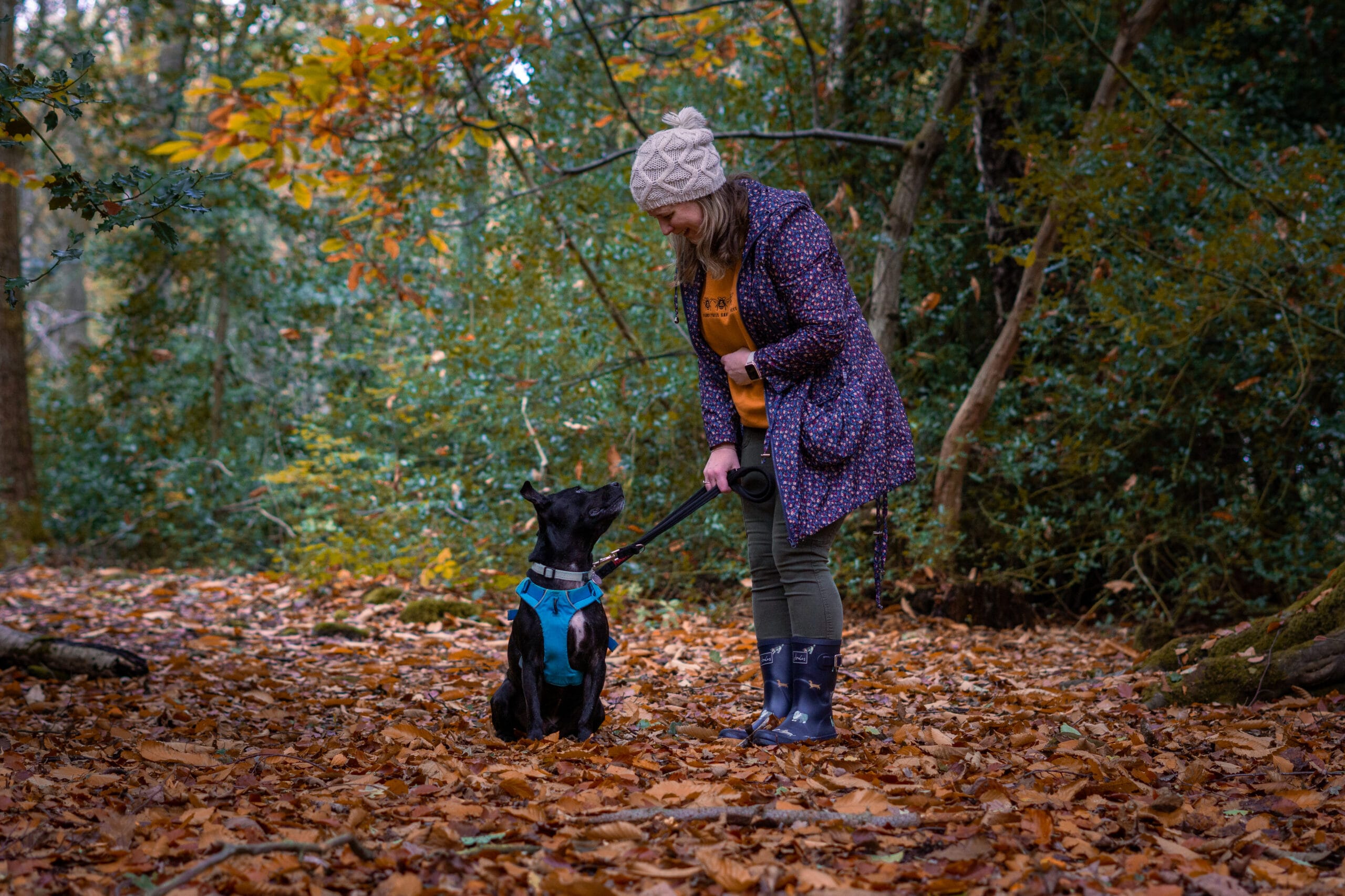 Julie and Luca dog in woodland