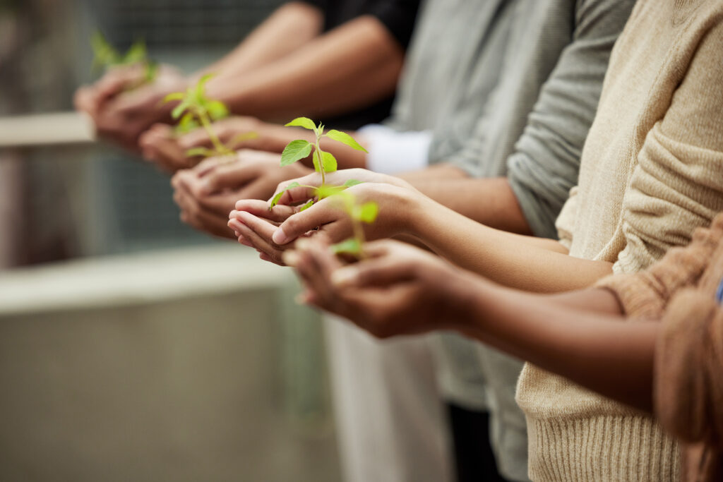 Closeup shot of a group of unrecognisable people holding plants growing in soil